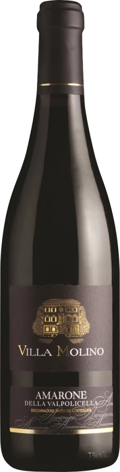 Вино Sartori, Villa Molino Amarone della Valpolicella DOC, 2016