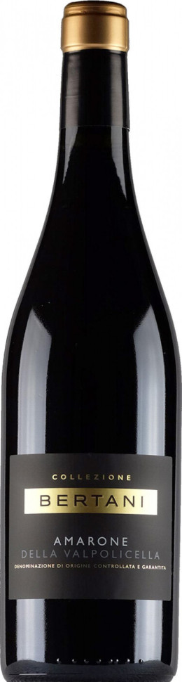Вино Bertani Amarone della Valpolicella DOC 2013