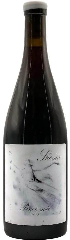 Вино "Kid Shonia" Pinot Noir, 2023