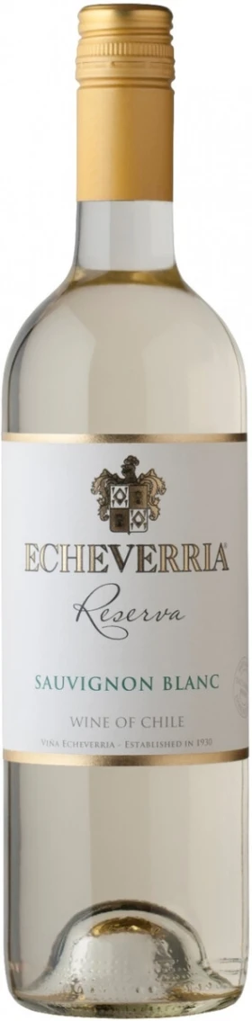 Вино Echeverria, Sauvignon Blanc Reserva, 2016