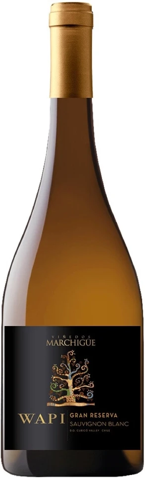 Вино "Wapi" Sauvignon Blanc Gran Reserva, Curico Valley DO