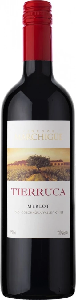 Вино Tierruca Merlot, Colchagua Valley DO