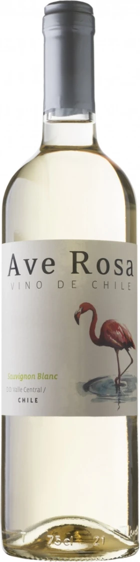 Вино Bodegas y Vinedos de Aguirre, "Ave Rosa" Sauvignon Blanc