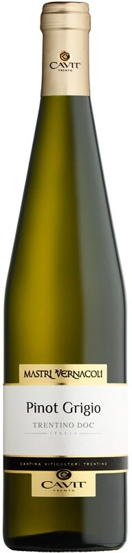 Вино Mastri Vernacoli Pinot Grigio, Trentino DOC, 2017