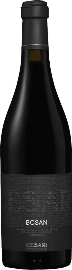 Вино Gerardo Cesari, Bosan Amarone della Valpolicella DOC, 2005