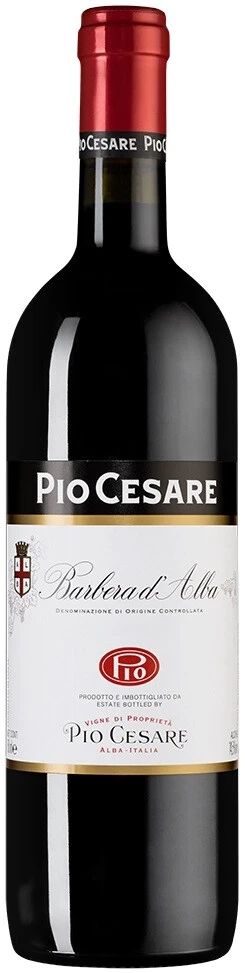 Вино Pio Cesare, Barbera d'Alba DOC, 2023