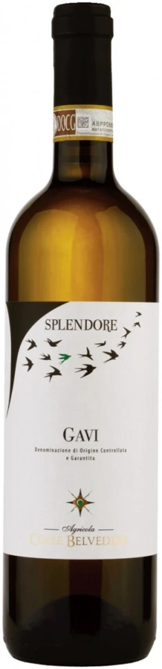 Вино Colle Belvedere, Splendore Gavi DOCG, 2023