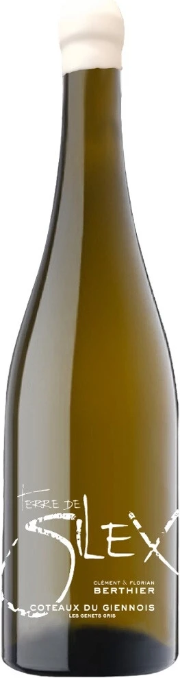Вино Clement &amp; Florian Berthier, Terre de Silex, Coteaux du Giennois AOC, 2022