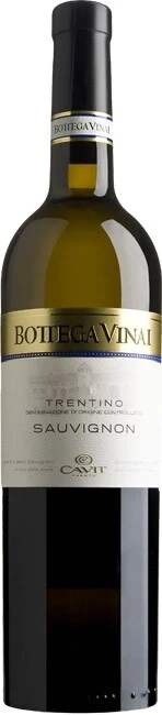 Вино Cavit, Bottega Vinai Sauvignon, 2012