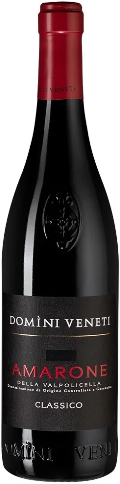 Вино Domini Veneti Amarone della Valpolicella Classico DOC, 2021