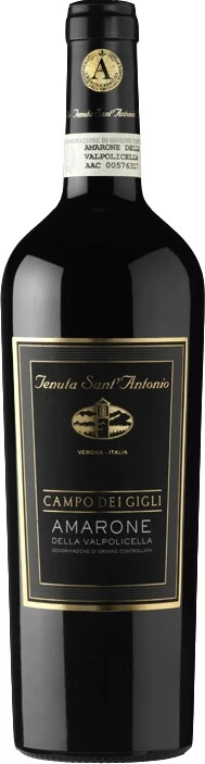 Вино Tenuta Sant'Antonio, Campo dei Gigli, Amarone della Valpolicella DOC, 2013