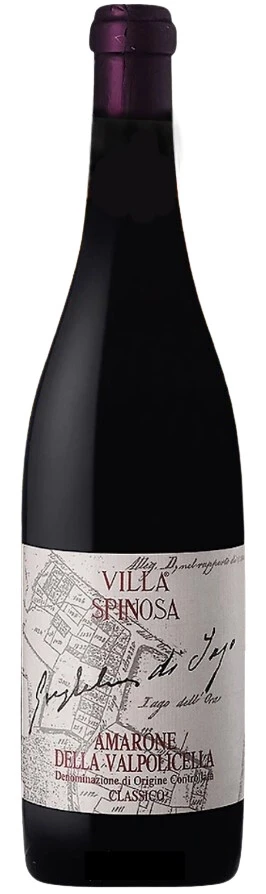 Вино Villa Spinosa, Guglielmi di Jago, Amarone della Valpolicella DOC Classico, 2001
