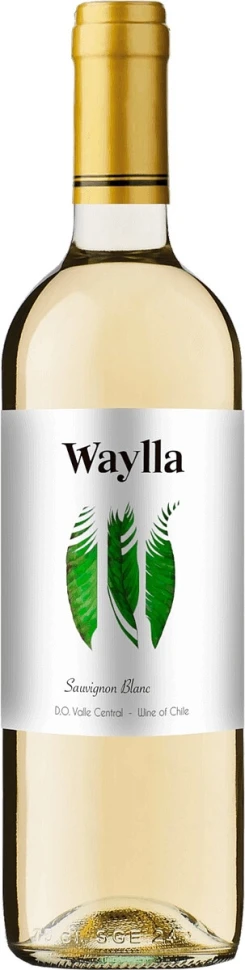 Вино "Waylla" Sauvignon Blanc, Central Valley DO