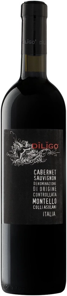 Вино Anna Spinato, Diligo Cabernet Sauvignon, Veneto DOC, 2021