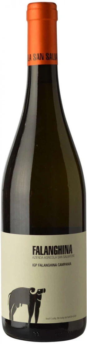 Вино San Salvatore, Falanghina, Campania IGT, 2014