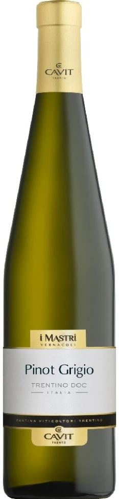 Вино Mastri Vernacoli Pinot Grigio, Trentino DOC, 2024