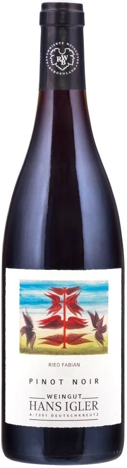 Вино Hans Igler, Pinot Noir Ried Fabian, 2011