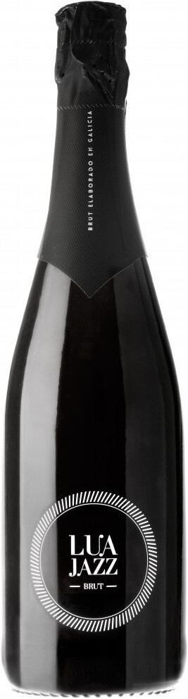 Игристое вино Vina Costeira Lua Jazz Brut 15 л