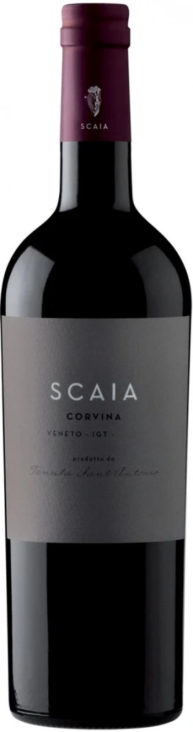Вино Tenuta Sant'Antonio, Scaia Corvina, Veneto IGT