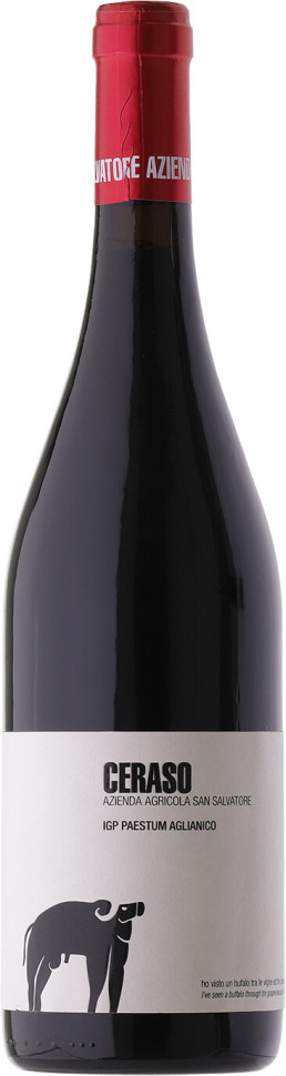 Вино San Salvatore Ceraso Aglianico Paestum IGT 2020
