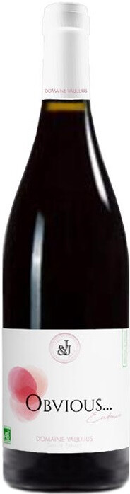 Вино Domaine Valjulius Obvious Rouge 2018