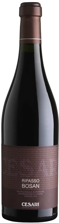 Вино Gerardo Cesari, Ripasso Bosan, Valpolicella Ripasso Superiore DOC, 2010