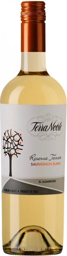 Вино TerraNoble, "Reserva Terroir" Sauvignon Blanc, 2014