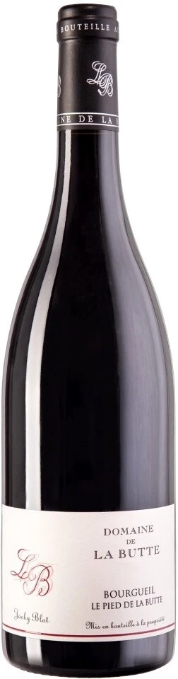 Вино Le Pied de la Butte, Bourgueil AOC, 2017