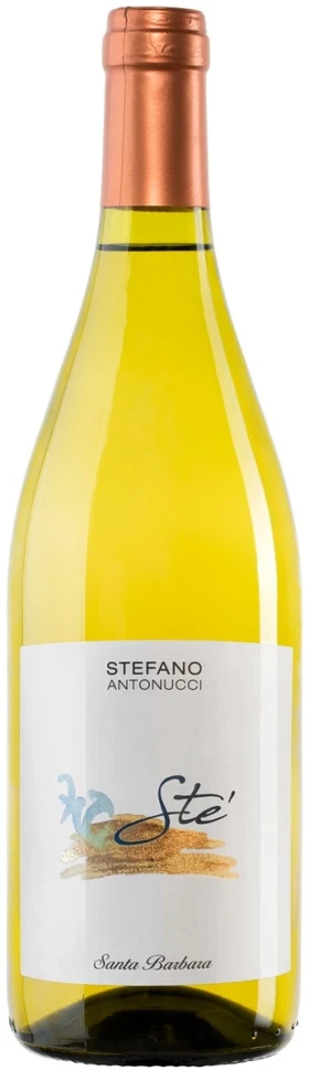 Вино Santa Barbara, "Ste" Verdicchio dei Castelli di Jesi DOC