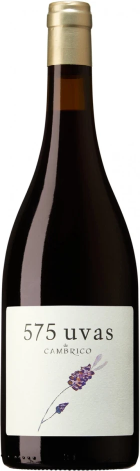 Вино Cambrico, 575 Uvas de Cambrico, Sierra de Salamanca DOP, 2017