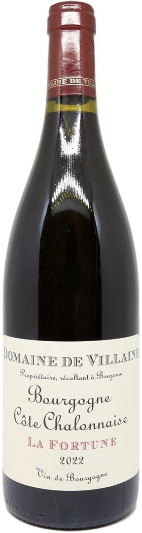Вино Domaine de Villaine, Bourgogne Cote Chalonnaise La Fortune AOC, 2022