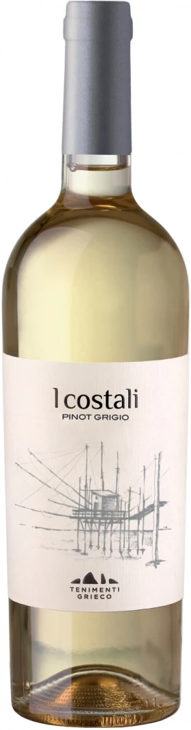 Вино I Costali Pinot Grigio, Terre Degli Osci IGT