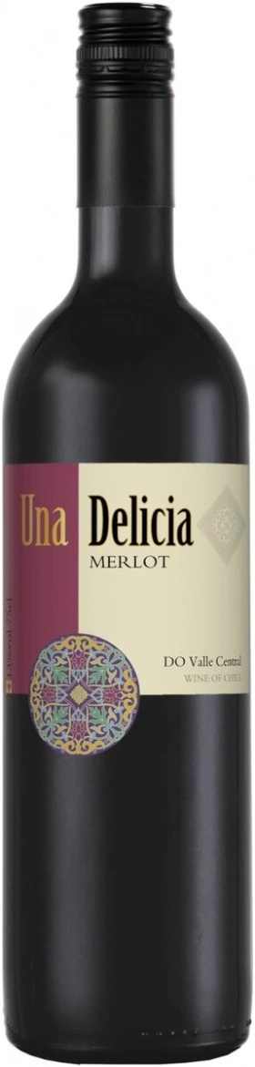 Вино Vinedos Puertas, "Una Delicia" Merlot, Valley Central DO