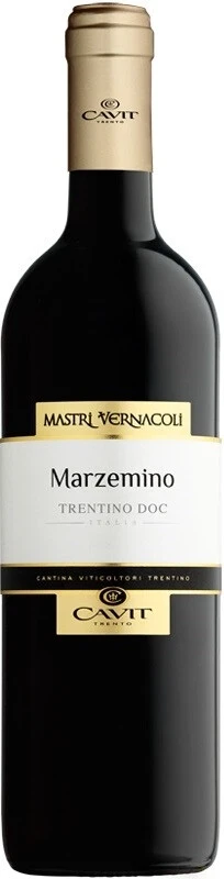 Вино Mastri Vernacoli Marzemino, Trentino DOC, 2017