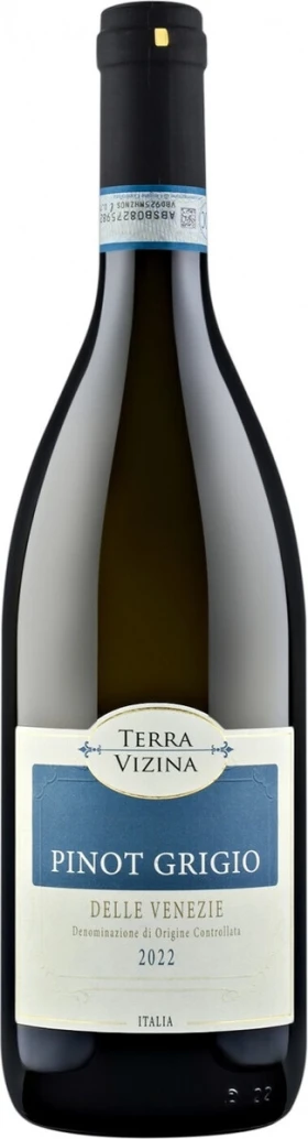 Вино Terra Vizina Pinot Grigio delle Venezie DOC, 2022