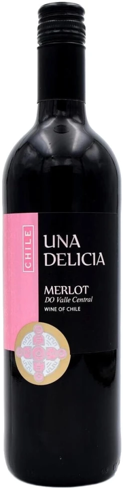 Вино Vinedos Puertas, "Una Delicia" Merlot, Valley Central DO, 2021