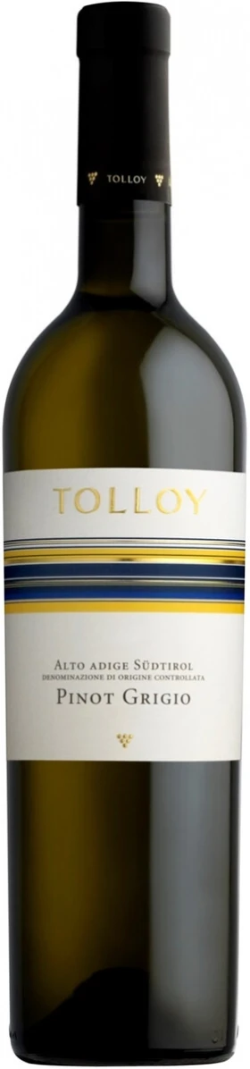 Вино Tolloy Pinot Grigio, Alto Adige DOC, 2016
