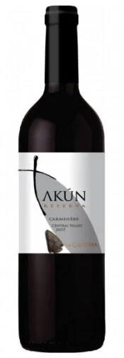 Вино Takun Carmenere Reserva 2008