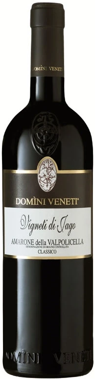 Вино Domini Veneti, Amarone della Valpolicella Classico DOC Vigneti di Jago red dry DOC, 2007