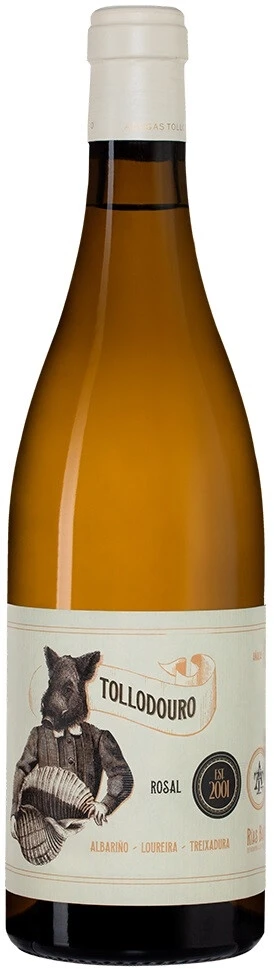 Вино Adegas Tollodouro, Tollodouro Rias Baixas DO, 2023