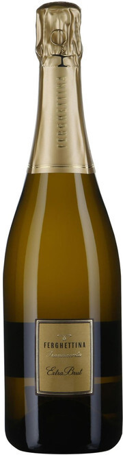 Игристое вино Ferghettina Franciacorta Extra Brut DOCG 2010