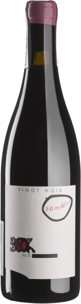 Вино Judith Beck, Bambule! Pinot Noir, 2019