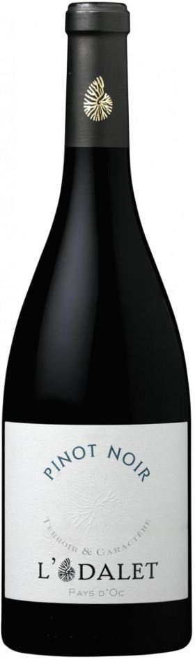 Вино L Odalet Pinot Noir Pays d Oc