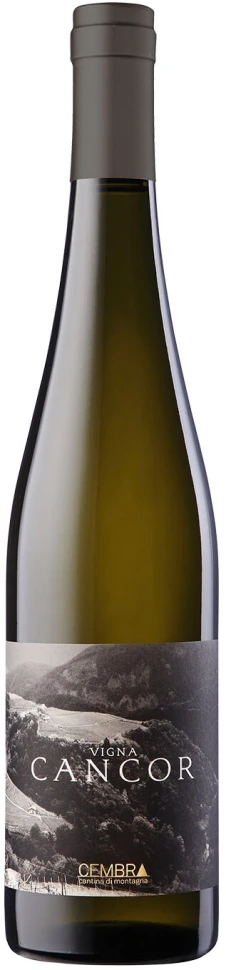 Вино Cembra Cantina di Montagna, Vigna Cancor, Riesling, Trentino DOC, 2017