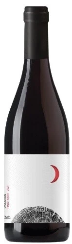 Вино Aya Organic Wine, Evolution Pinot Noir