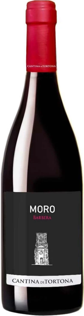 Вино Cantina di Tortona, Moro Barbera, Colli Tortonesi DOC