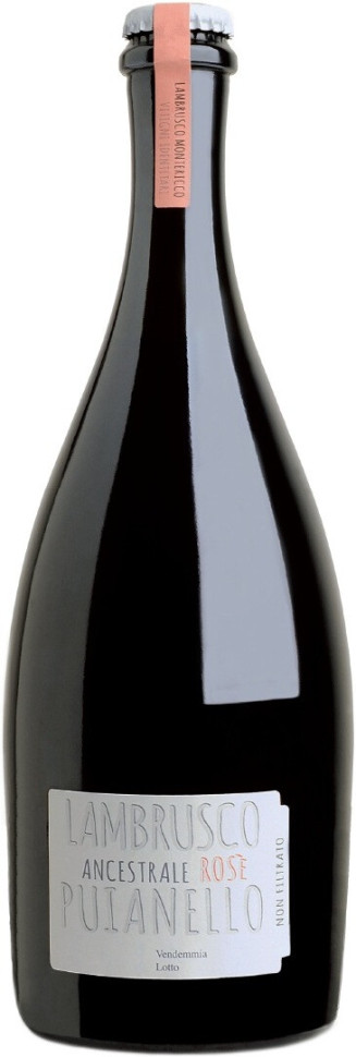Игристое вино Puianello Ancestrale Lambrusco dell Emilia IGT Rose 2019