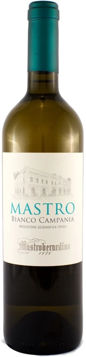 Вино Mastro Bianco, Campania IGT, 2015